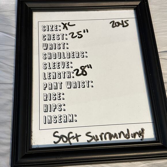 Soft Surroundings Cedella V-Neck Tunic Blue Long Sleeve Size XL - Picture 5 of 6